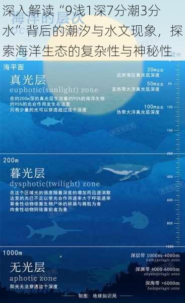深入解读“9浅1深7分潮3分水”背后的潮汐与水文现象,探索海洋生态的复杂性与神秘性