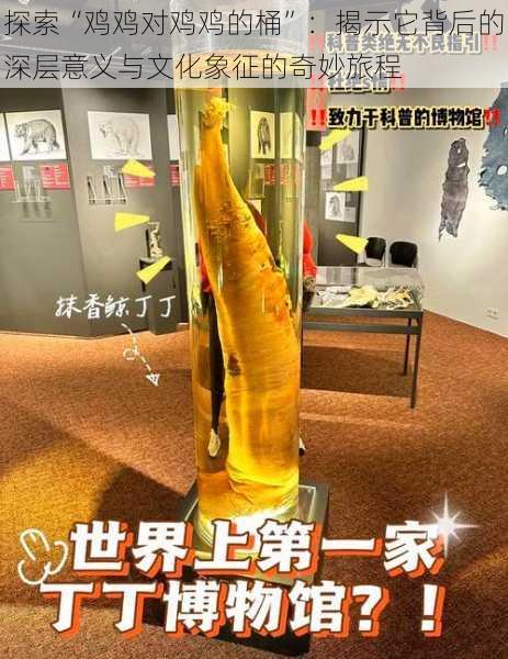 探索“鸡鸡对鸡鸡的桶”:揭示它背后的深层意义与文化象征的奇妙旅程