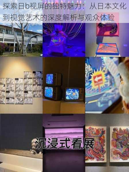探索日b视屏的独特魅力:从日本文化到视觉艺术的深度解析与观众体验