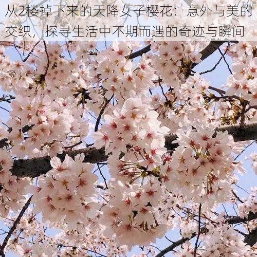 从2楼掉下来的天降女子樱花:意外与美的交织,探寻生活中不期而遇的奇迹与瞬间