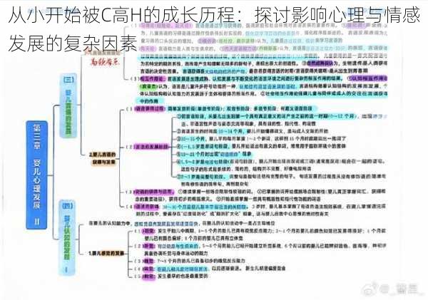 从小开始被C高H的成长历程:探讨影响心理与情感发展的复杂因素