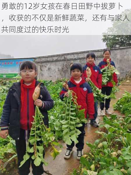 勇敢的12岁女孩在春日田野中拔萝卜,收获的不仅是新鲜蔬菜,还有与家人共同度过的快乐时光