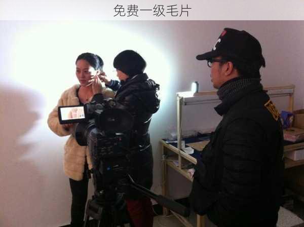 免费一级毛片