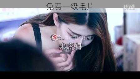 免费一级毛片