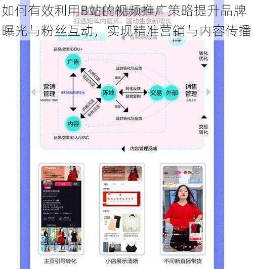 如何有效利用B站的视频推广策略提升品牌曝光与粉丝互动,实现精准营销与内容传播
