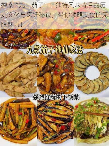 探索“九一茄子”:独特风味背后的历史文化与烹饪秘诀,带你领略美食的无限魅力!