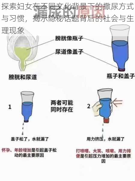 探索妇女在不同文化背景下的撒尿方式与习惯,揭示隐秘话题背后的社会与生理现象