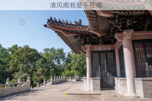 清风阁我爱干视频