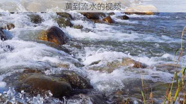 黄到流水的视频