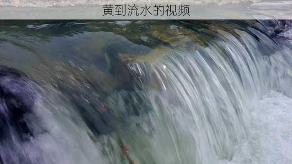 黄到流水的视频