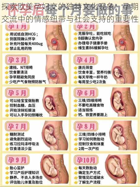 探索欧美孕妇交的独特文化现象：孕期交流中的情感纽带与社会支持的重要性