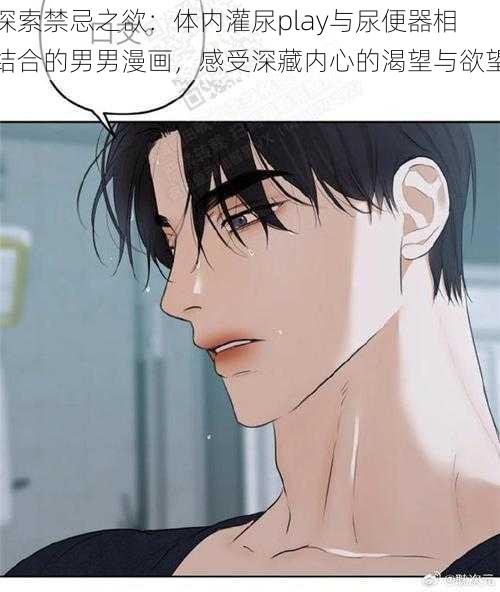 探索禁忌之欲:体内灌尿play与尿便器相结合的男男漫画,感受深藏内心的渴望与欲望
