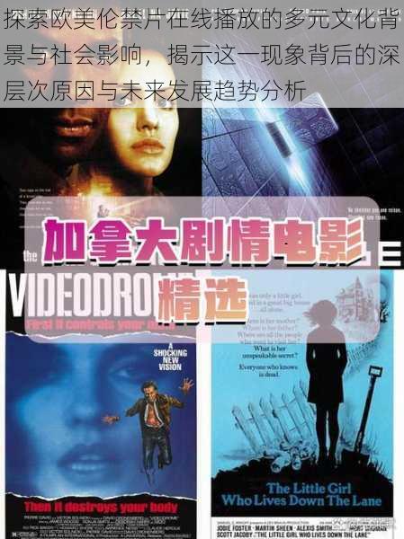 探索欧美伦禁片在线播放的多元文化背景与社会影响,揭示这一现象背后的深层次原因与未来发展趋势分析