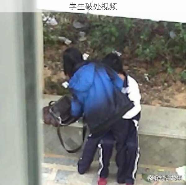 学生破处视频