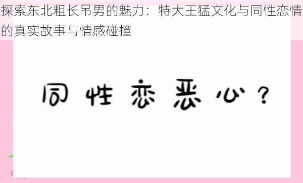 探索东北粗长吊男的魅力:特大王猛文化与同性恋情的真实故事与情感碰撞
