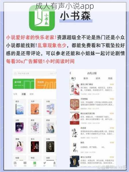 成人有声小说app