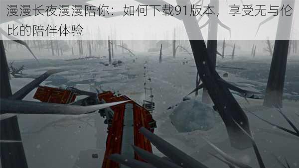 漫漫长夜漫漫陪你:如何下载91版本,享受无与伦比的陪伴体验