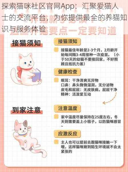 探索猫咪社区官网App:汇聚爱猫人士的交流平台,为你提供最全的养猫知识与服务体验