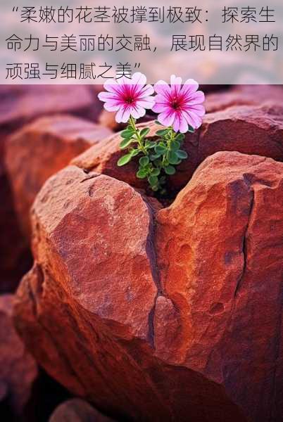 “柔嫩的花茎被撑到极致:探索生命力与美丽的交融,展现自然界的顽强与细腻之美”