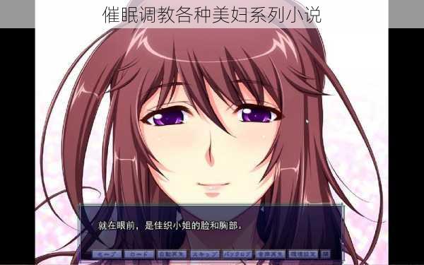 催眠调教各种美妇系列小说