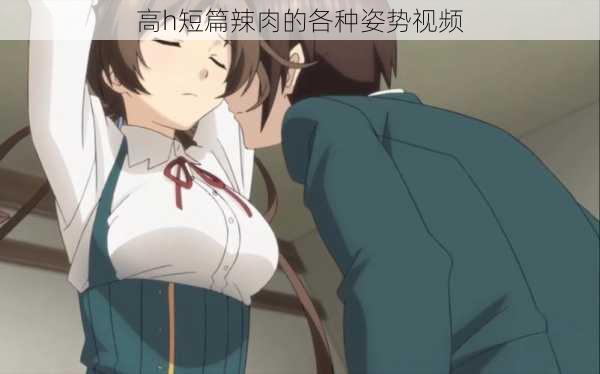 高h短篇辣肉的各种姿势视频